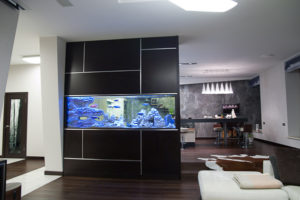 Obrovské akvárium v moderním bytě