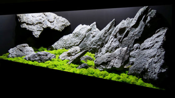 Minachting Gesprekelijk Ongelijkheid ARSTONE - aquarium achterwanden, 3D modules en stenen